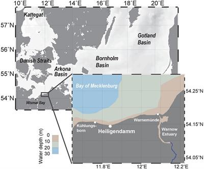 Nearshore Dissolved and Particulate Organic Matter Dynamics in the Southwestern Baltic Sea: Environmental Drivers and Time Series Analysis (2010–2020)